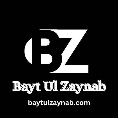 logo baytulzaynab